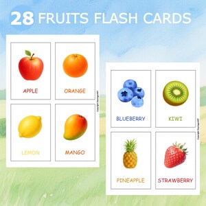 28 Fruit Flashcards – Cute Watercolor Pictures, Printable Cards, Montessori Learning, Kids Vocabulary Cards, Instant Digital Download