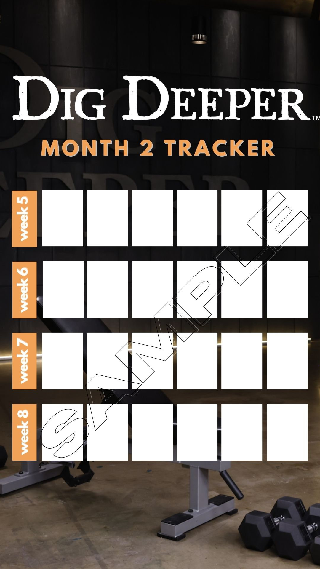 Dig Deeper Tracker | Shaun T Dig Deeper Bodi Program | Sweaty Selfie ...