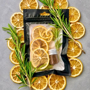 PROTECTION and CLARITY Witch's Brew - SIMMER Pot / Shield and Illuminate / Mindful / Clear Thinking / Focused / Bright / Simmer Potpourri