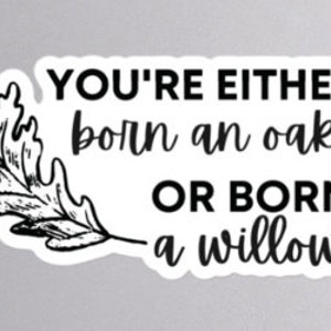 May include: Black and white sticker with an oak leaf design and the text "You're either born an oak or born a willow."