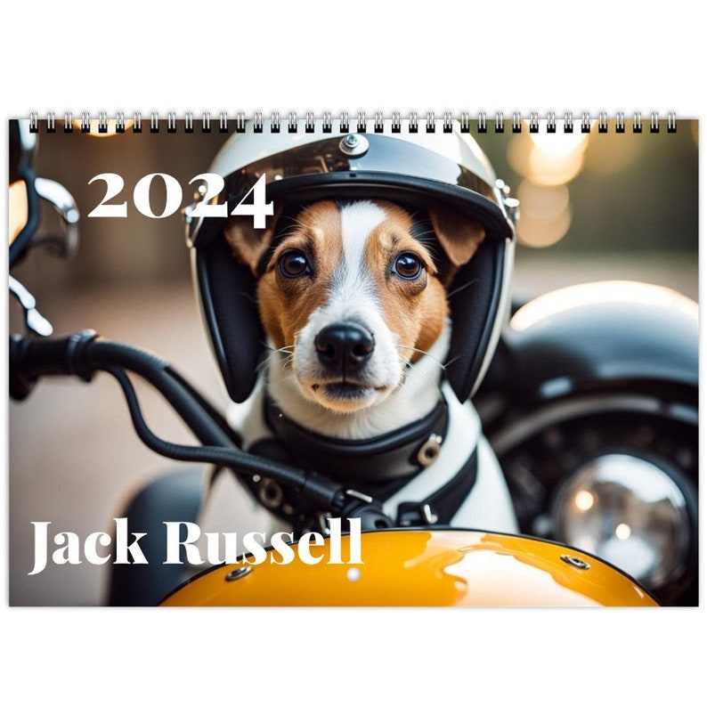 Jack Russell Terrier, 2024 or 2025 Wall Calendars, Ideal for Jack