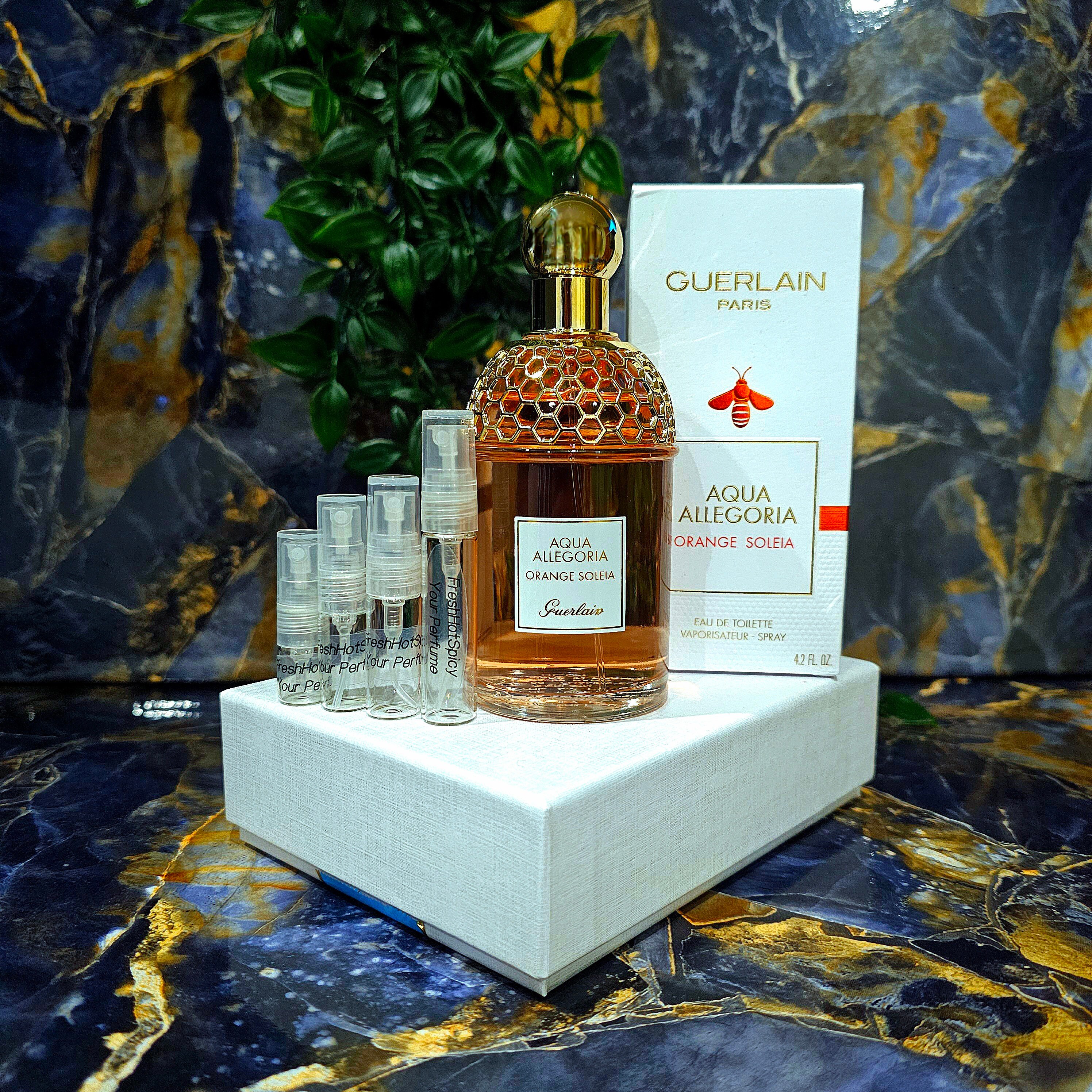 Buy Aqua Allegoria Orange Soleia EDT Guerlain Handmade Perfume Decant of Aqua Allegoria Orange Soleia EDT 2ml 3ml 5ml Online in India Etsy
