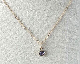 ★ROSEMONT★ 14K necklace (February birthstone) RS1307 February Birthstone Necklace - Gold - Etsy