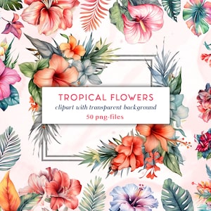 Tropische Blumen Clipart-Set | Bunte Blumen und florale Rahmen | Blätter und Blumen PNGs | Hawaii-Clipart-Set | Blumen-Urlaub-Clipart-Set