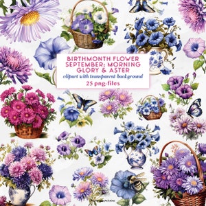 Birthmonth Flower September: Morning Glory & Aster Flower Clipart Set | Watercolor Morning Glory Flower | Birth Flower Aster Flower Set PNGs
