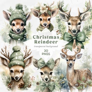 Grünes Weihnachts-Rentier-Clipart | Grün Aquarell Weihnachten | Mädchenhafte Weihnachten | Süße Weihnachtstiere Clipart Winter Clip Art png