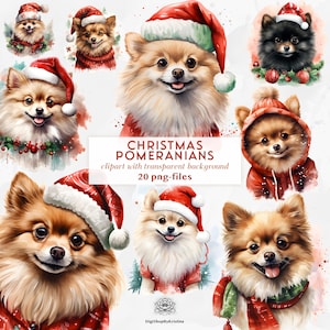 Aquarel kerst Pommeren met kersttruien Clipart | Schattige Pommeren-clipart | Leuke illustraties maken van kerstkaarten | Kerstmis