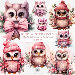 Lindos búhos de Navidad rosa Clipart / Búho de Navidad acuarela rosa / Navidad femenina / Lindos animales de Navidad Clipart / Clip Art de invierno rosa