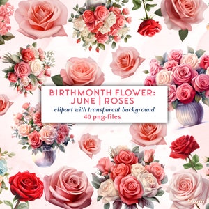 JUNHO Aniversário Flores Rosas | Conjunto de clipart rosa | Buquê de Rosas Cores Pastel | Ilustração Rosas Altamente Detalhadas | Rosas Vermelhas Clipart PNG