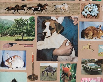 444 - A Collage Print