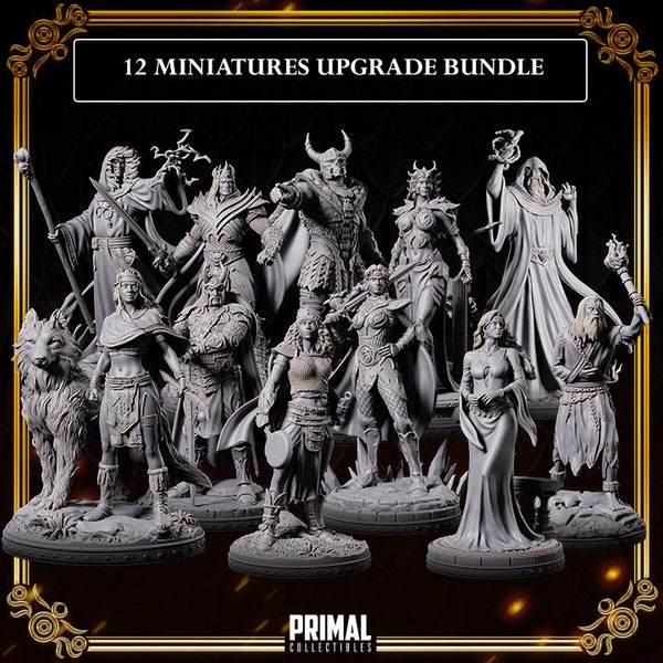 DNDDGL - UPGRADE BUNDLE Dragonlance 12 Minis - 5 Villain 7 Hero