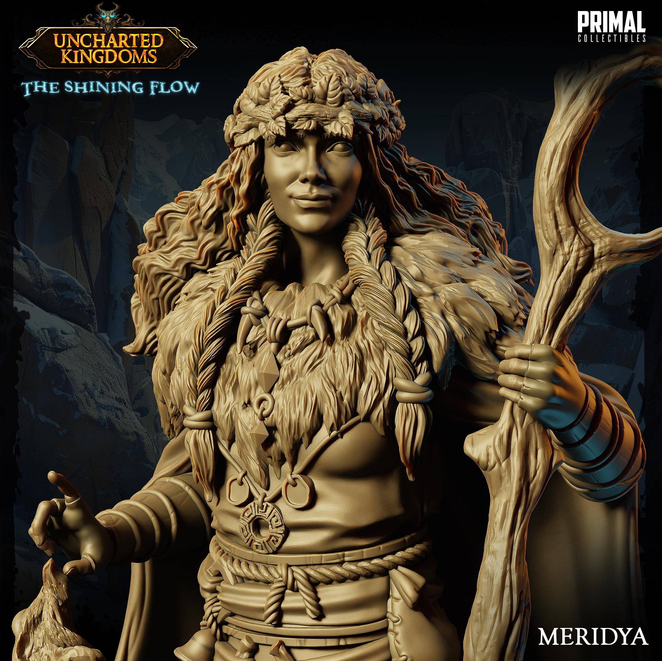 DNDUK - Meridya the Druid  - Female Human Druid miniature
