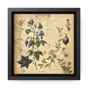 Nightshade study square nightshade decor ai art print whimsigoth witchy dark academia decor framed wall art cottagecore decor