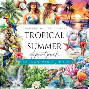 Clipart estate tropicale PNG Clipart estate PNG Cocktail PNG Clipart fogliame Clipart animali marini Clipart tramonto spiaggia Clipart uccelli tropicali