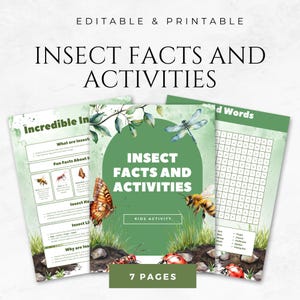 Insectenfeiten en activiteiten voor kinderen Insectenfeiten Insectwetenschappelijke activiteiten Natuur leren voor kinderen buitenactiviteiten Insectenwerkbladen