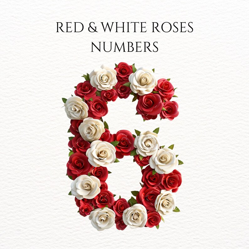 Rose Numbers Clipart Red Rose Clipart White Rose Clipart Floral Numbers ...