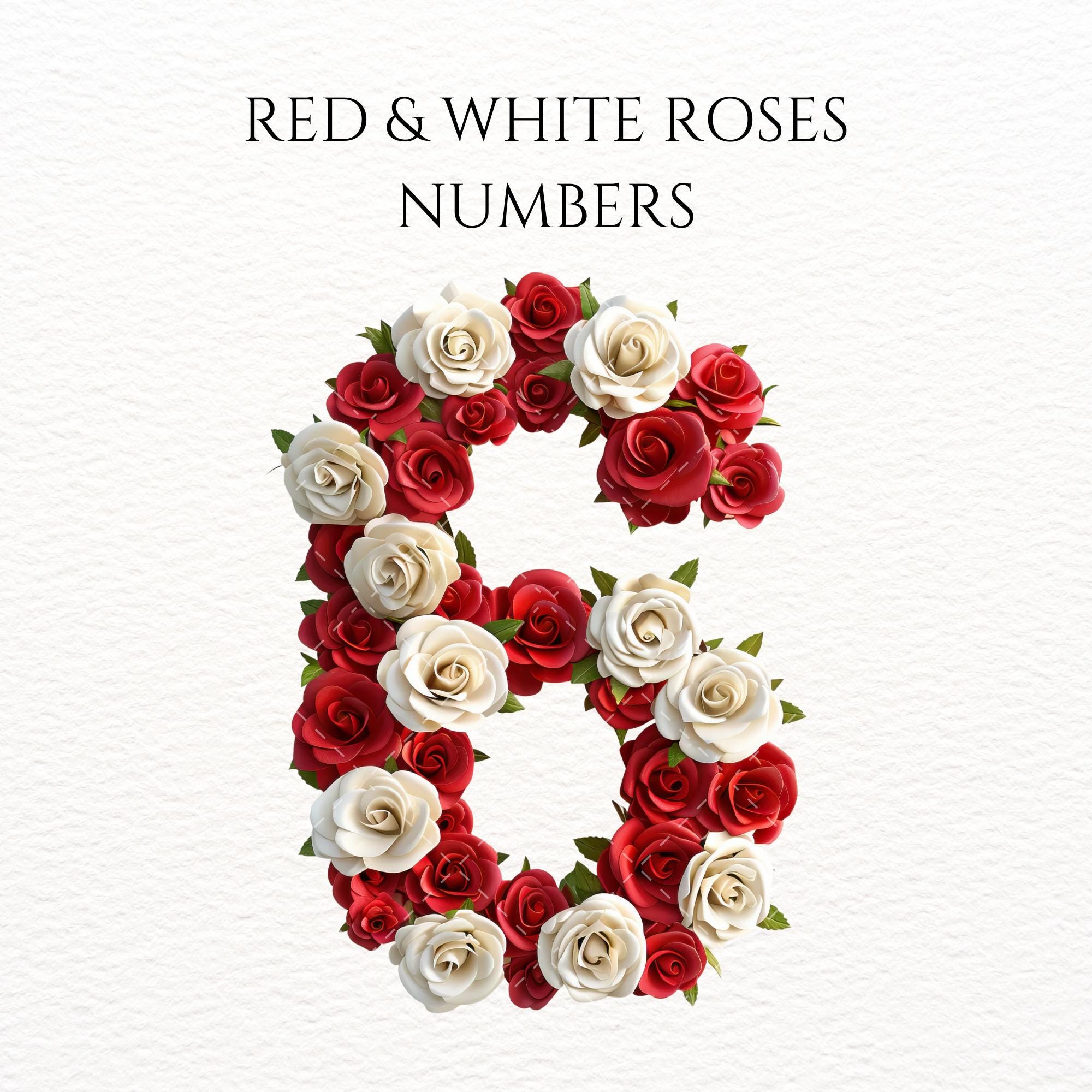 Number 16 Roses Shape Rose Numbers Clipart Red Rose Clipart White Rose Clipart Floral Numbers ...