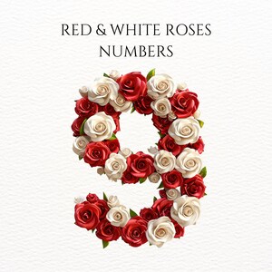 Rose Numbers Clipart Red Rose Clipart White Rose Clipart Floral Numbers ...