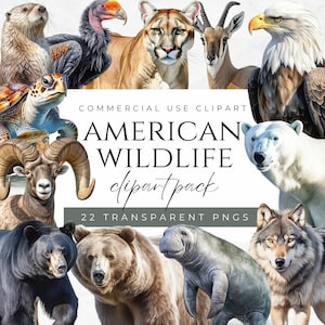 Clipart animaux de la faune américaine