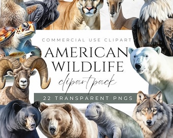 American Wildlife Animals Clipart USA Animals Clipart Wild Animals Clipart Wildlife Animals PNG Bald Eagle Clipart National Park Animals PNG