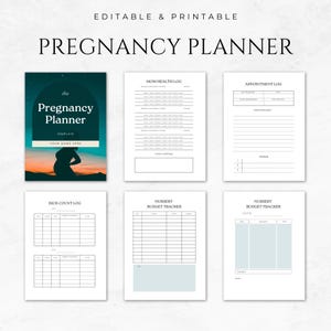 May include: Printable pregnancy planner template with a cover featuring a silhouette of a pregnant person against a sunset background. The planner includes sections for tracking appointments, kick counts, mom's health, and nursery budget.