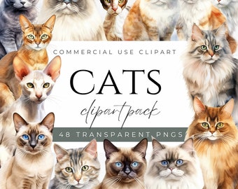 Cute Cats Clipart Cat Breeds Clipart Cats PNG Cat Portrait Clipart Watercolor Cat Clipart Pet Clipart Cat Illustration Animal Clipart PNG