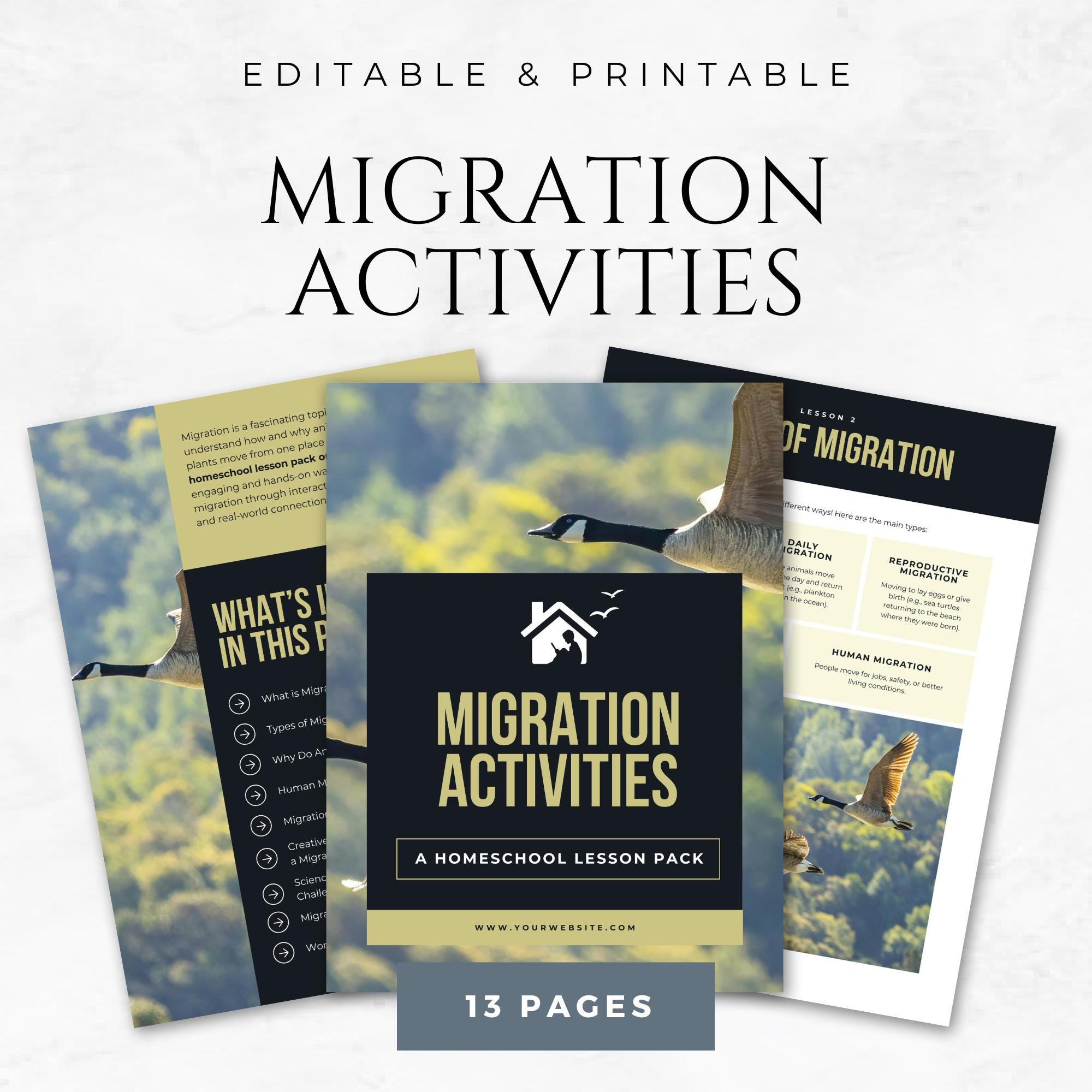 Migration Activities Templates Printable Migration Worksheet Animal ...