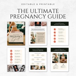 May include: A digital pregnancy guide with the title "The Ultimate Pregnancy Guide" in elegant script. The guide includes pages on milestones, nutrition, exercise, and emotional changes. The image features a pregnant person and ultrasound images.