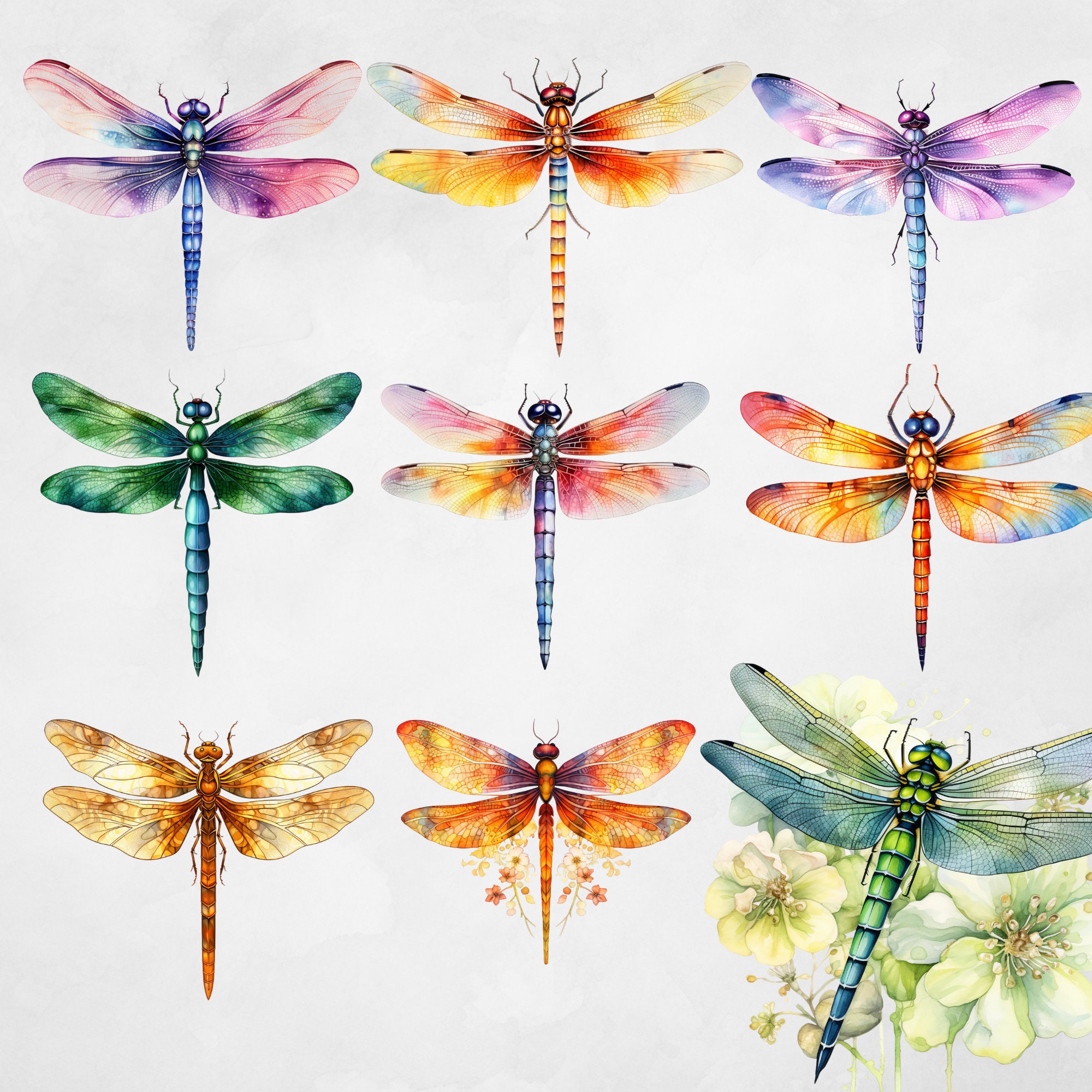 Dragonflies Clipart Dragonflies PNG Dragonfly Clipart Dragonfly Clip ...