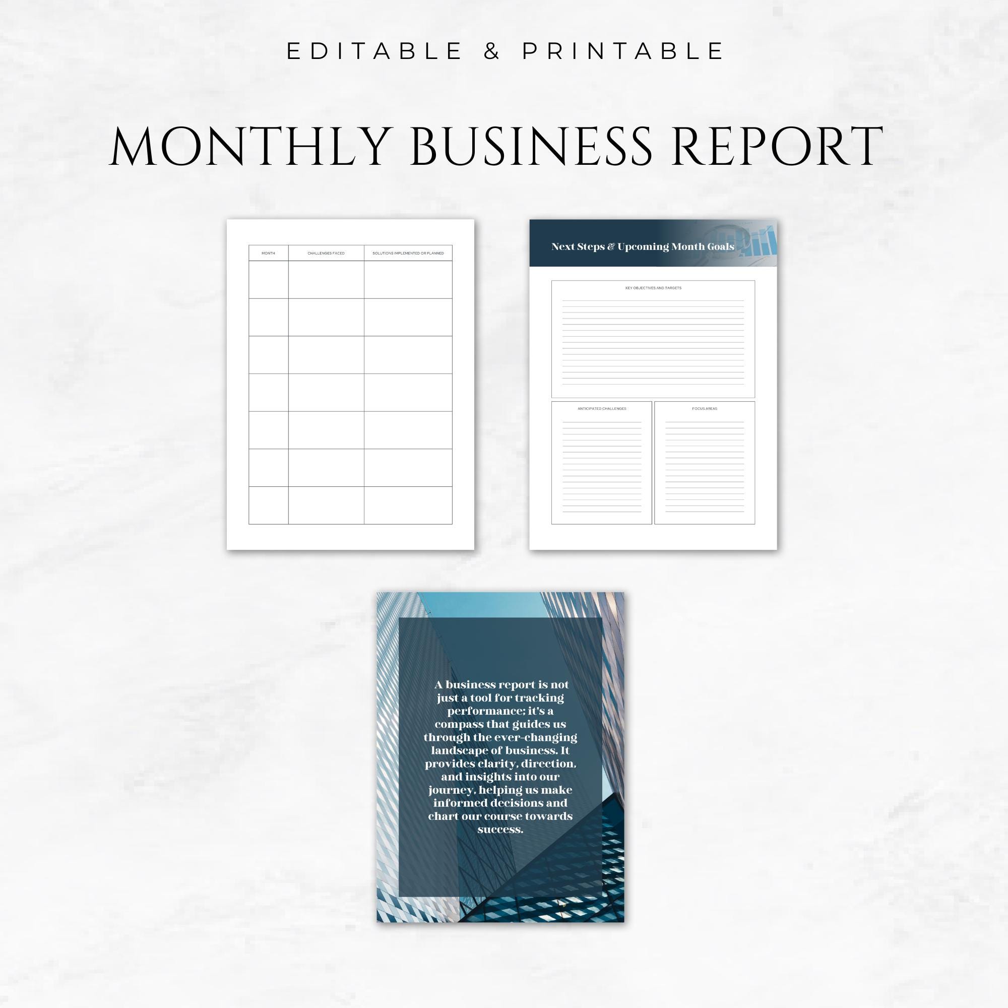 Monthly Business Report Template Printable Financial Report Performance ...