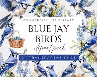Blue Jay Birds Clipart PNG Blue Jay Bird Clipart Blue Jay PNG Texas Clipart Texas PNG Texas Blue Jay Clip Art Blue Birds Clipart Birds png