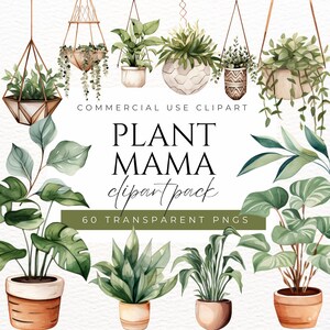 Plant Mama Clipart amateur de plantes esthétique botanique plante d'intérieur verdure plante en pot minimaliste plante suspendue plantes Clipart légumes-feuilles PNG