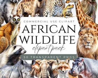 African Animals Clipart Safari Animals Clipart African Savanna Animals African Wild Animals Clipart African Wildlife Clipart Animals PNG