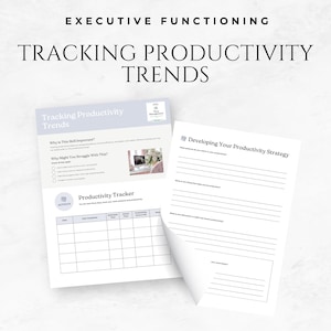 Tracking Productivity Trends - Executive Functioning Canva Template Editable Productivity Tracker Work Planner Sheet Time Management Form