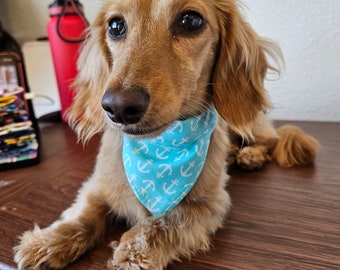 Blue anchor small dog bandana