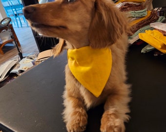 Yellow Small dog bandana