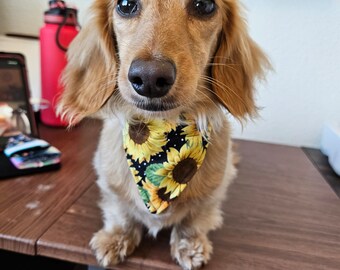 Sunflower small dog bandana