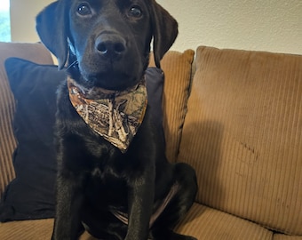Hunting camo medium dog bandana