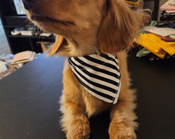 Black and white striped Small dog bandana