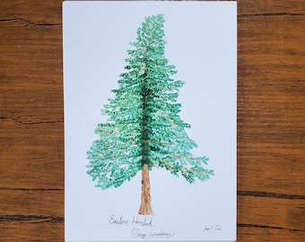 Eastern Hemlock Watercolor 5x7" Print