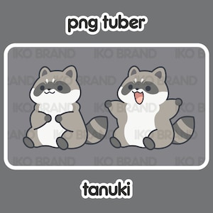 PNGTuber - Raccoon | Chibi | Cute | Kawaii | Twitch | YouTube | Vtuber | Streaming | Ready to Use and Download for OBS Streamlabs
