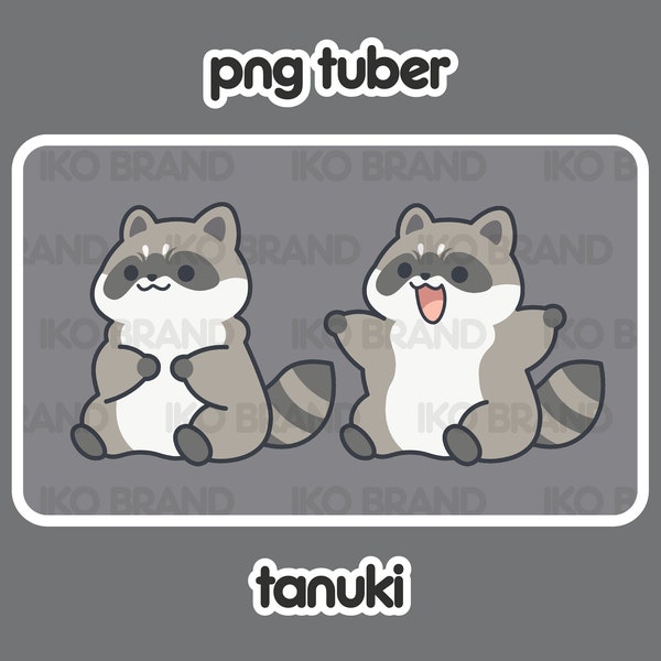 PNGTuber - Raccoon | Chibi | Cute | Kawaii | Twitch | YouTube | Vtuber | Streaming | Ready to Use and Download for OBS Streamlabs