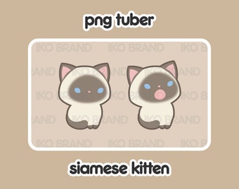Siamese Kitten PNGTuber – Chibi Vtuber Avatar (Ready to Use)