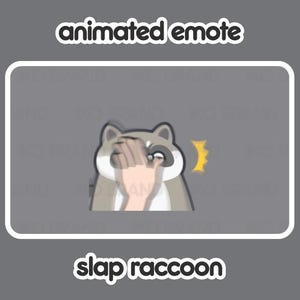 Animated Emote - Raccoon Slap | Cute | Kawaii | Chibi | Twitch, YouTube, Discord | Stream Emotes & Alerts