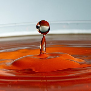 Water Drop Macro Photo Download