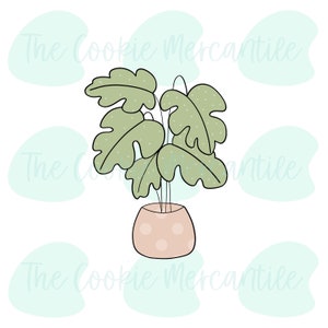 Monstera Plant [surprise box 2021]  - Cookie Cutter