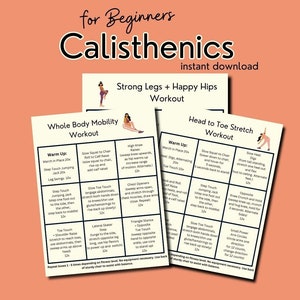 Calisthenics Workout Plan Etsy