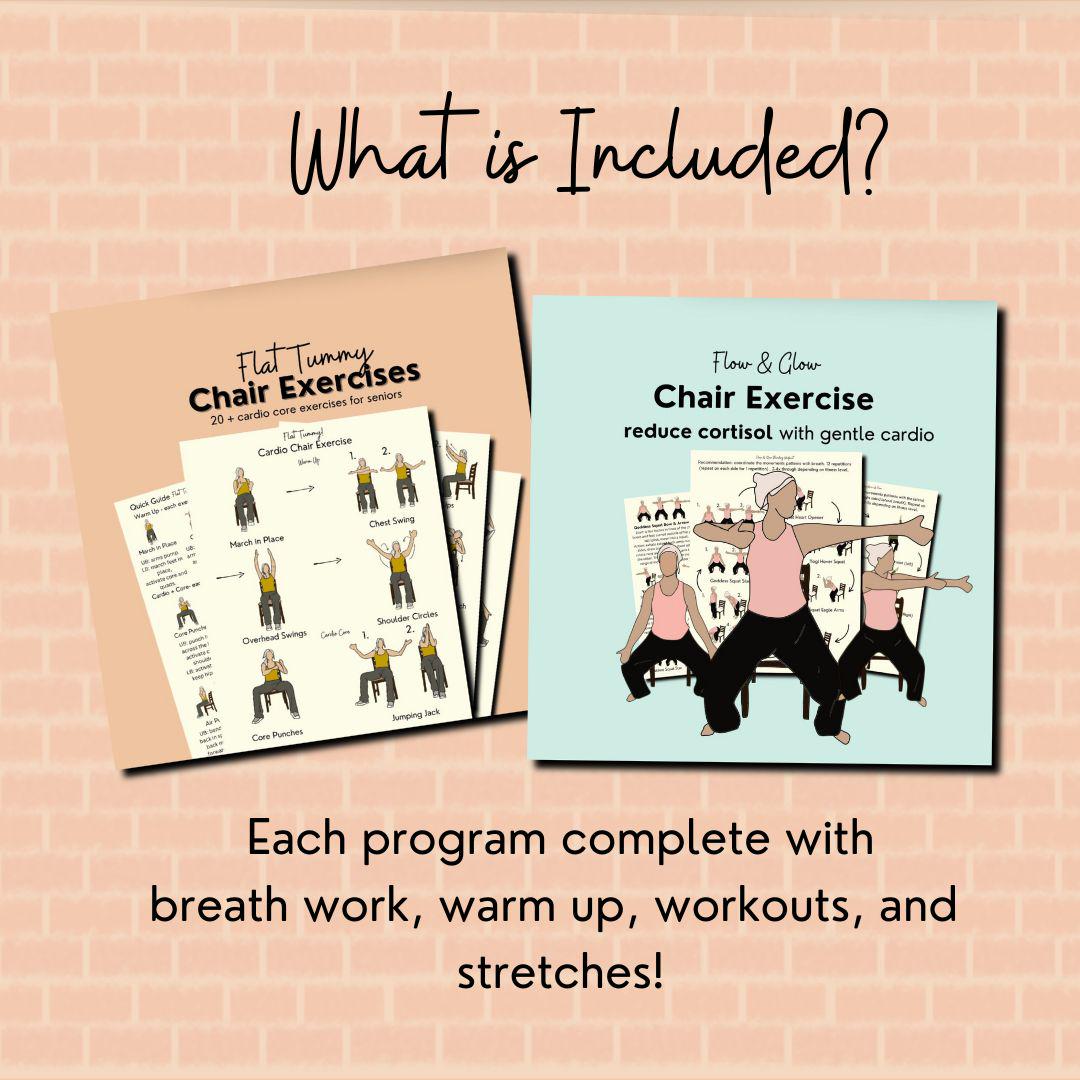 Chair Exercise Program for Seniors, Chair Cardio Exercise for Belly Fat ...