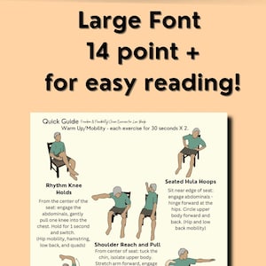 Title reads, "large font 14 point for easy reading". Under is a picture of the exercise PDF of a senior man doing back stretches.