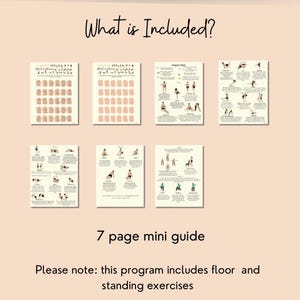 May include: A seven-page mini guide with illustrations of exercises. The guide includes floor and standing exercises. The text on the guide says "What is Included?" and "7 page mini guide". The text also says "Please note: this program includes floor and standing exercises".